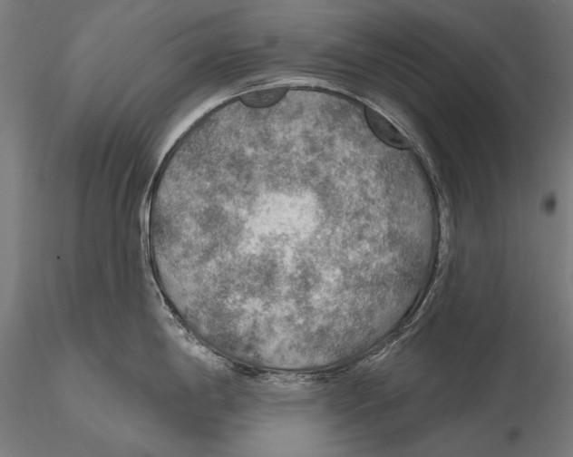 X0000115491198200912041008