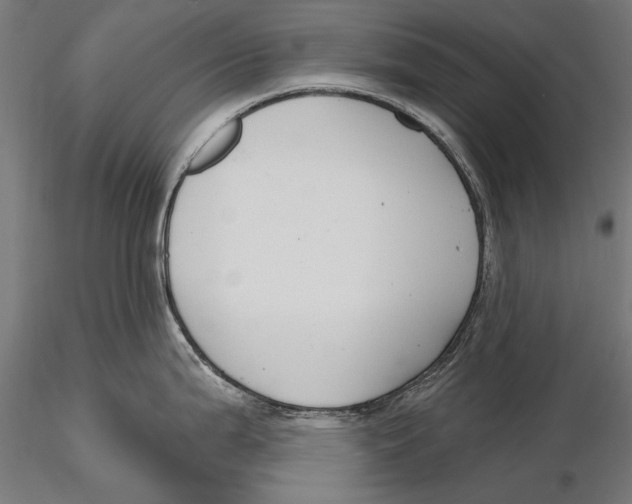 X0000115491199200912041008