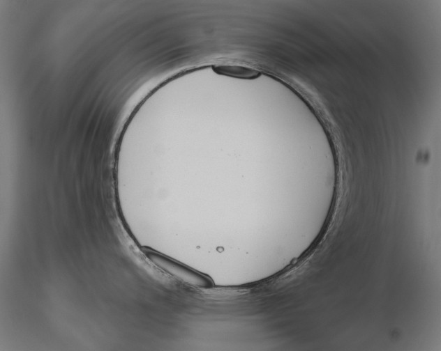 X0000115491200200912041008