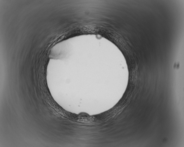 X0000115491201200912041008