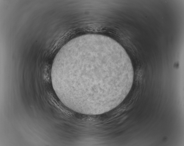 X0000115491202200912041008