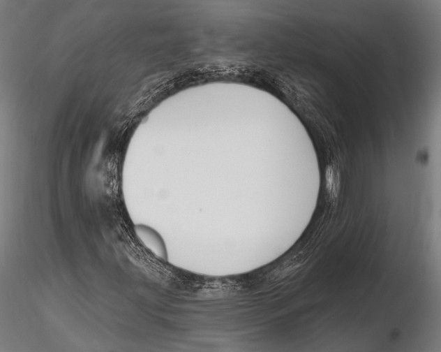 X0000115491203200912041008