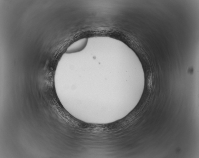 X0000115491204200912041008