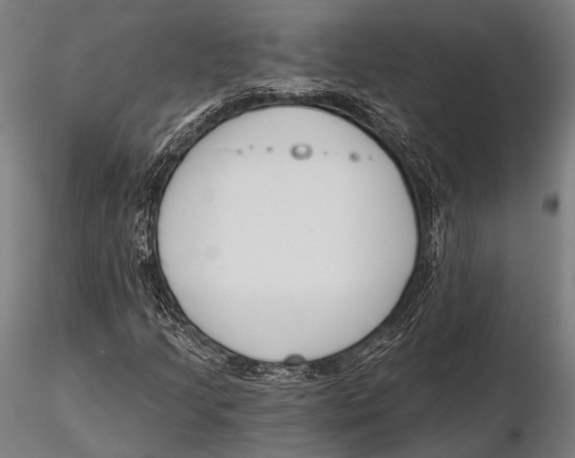X0000115491205200912041008
