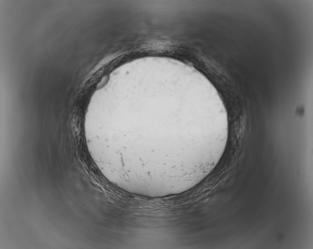 X0000115491206200912041008