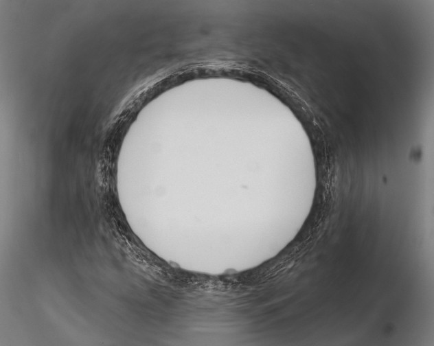 X0000115491207200912041008