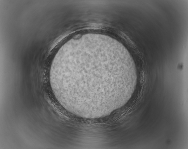 X0000115491208200912041008