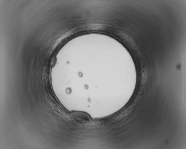 X0000115491210200912041008