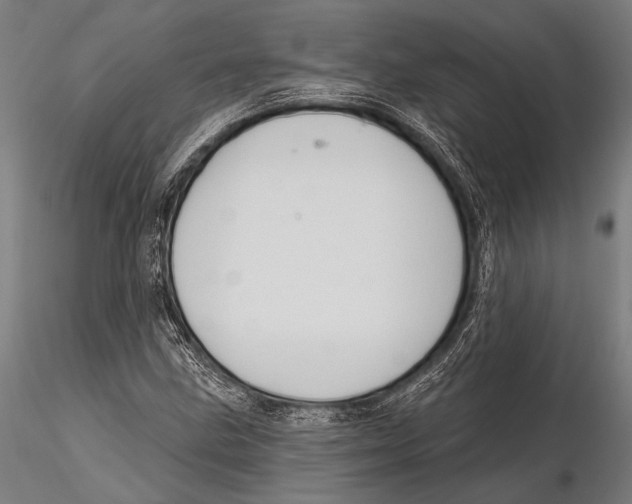 X0000115491211200912041008