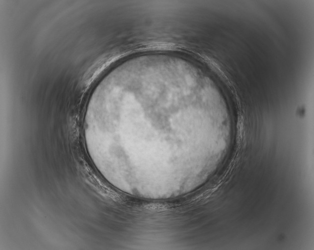 X0000115491212200912041008