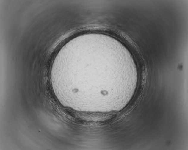 X0000115491213200912041008