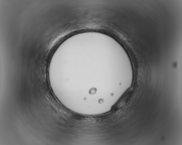 X0000115491214200912041008