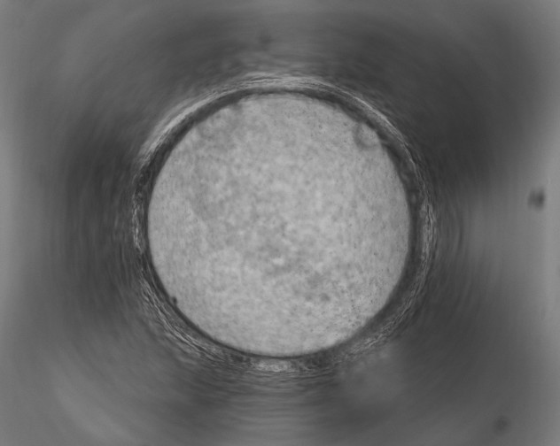 X0000115491215200912041008