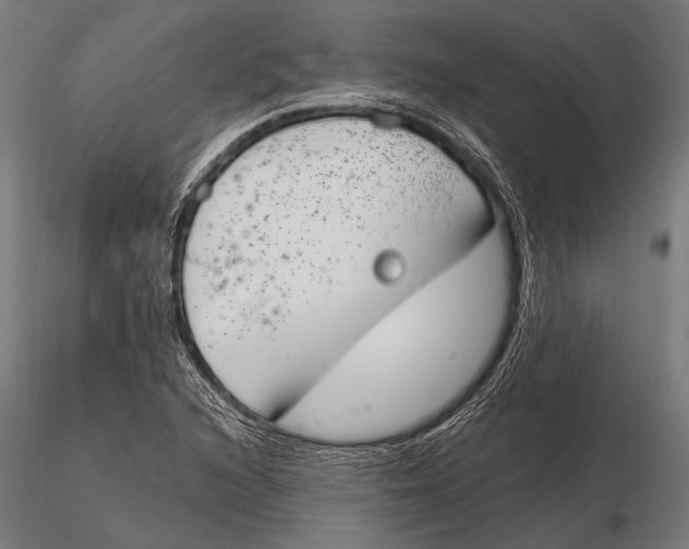 X0000115491216200912041008