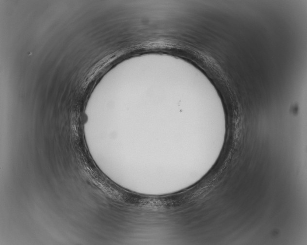 X0000115491217200912041008