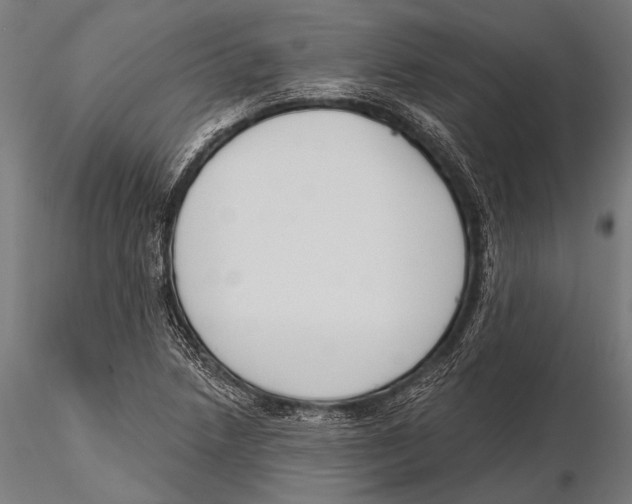 X0000115491218200912041008