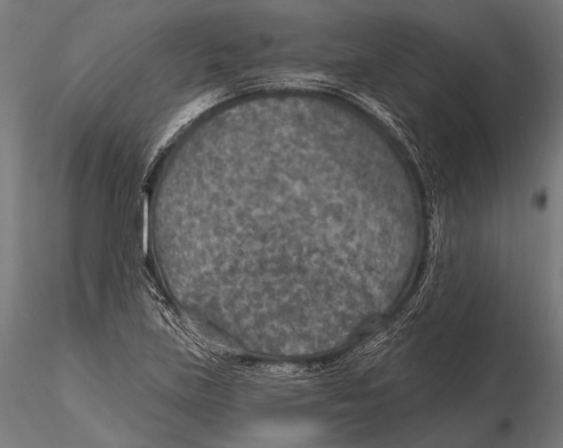X0000115491219200912041008