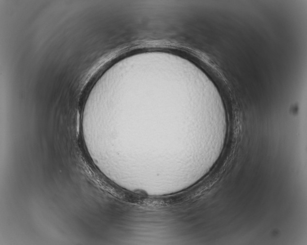 X0000115491221200912041008