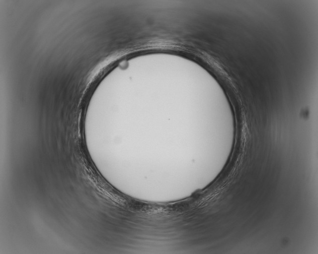 X0000115491222200912041008