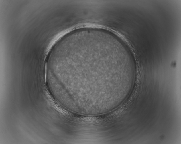 X0000115491223200912041008
