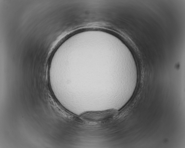 X0000115491224200912041008
