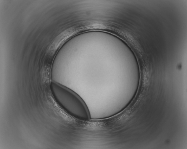 X0000115491225200912041008