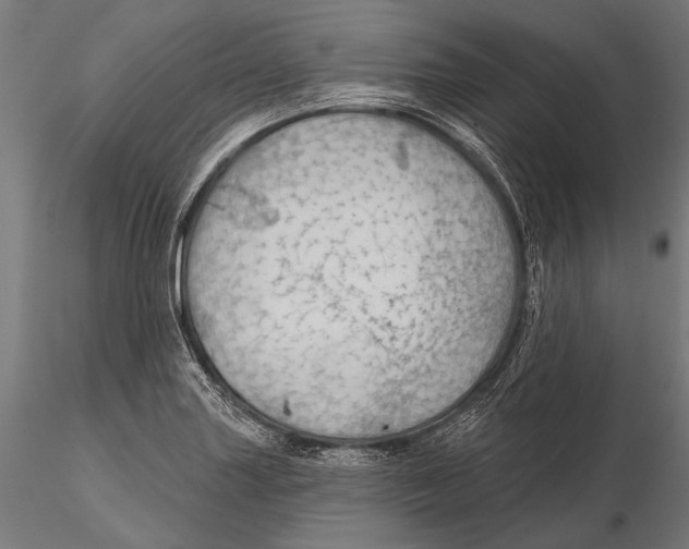 X0000115491227200912041008