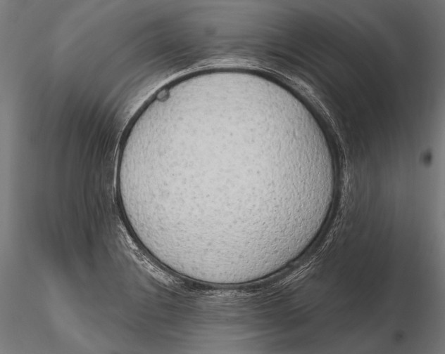 X0000115491228200912041008