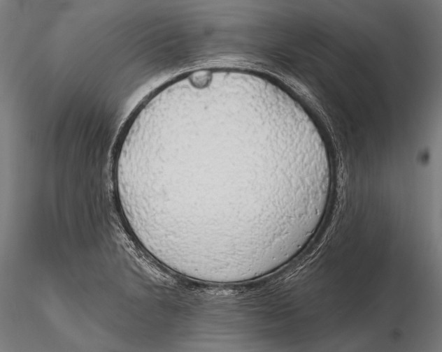 X0000115491230200912041008