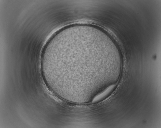 X0000115491232200912041008