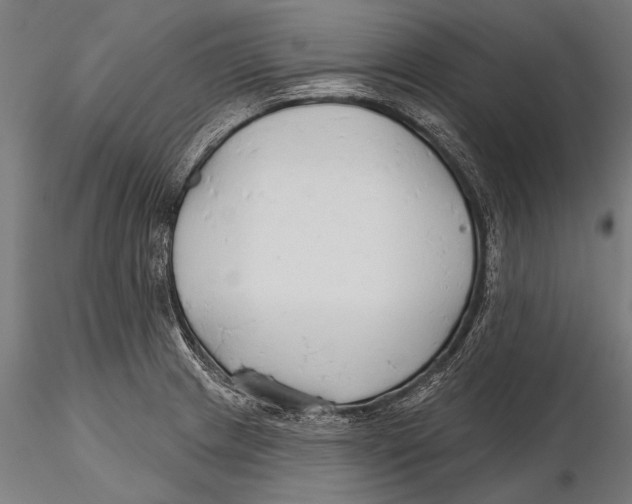 X0000115491233200912041008