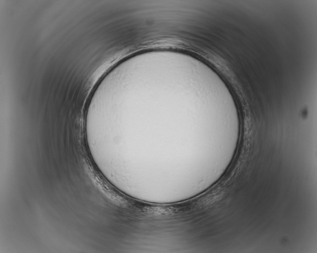 X0000115491234200912041008