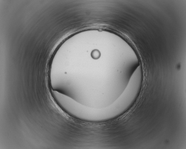 X0000115491235200912041008