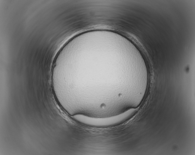 X0000115491236200912041008