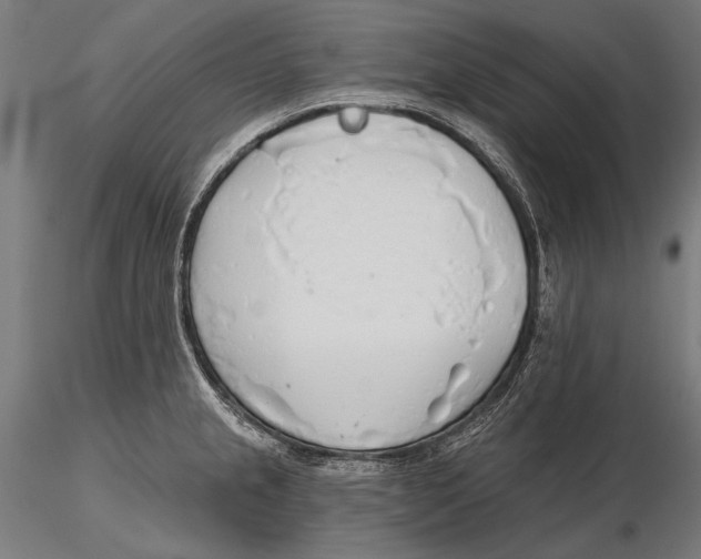 X0000115491237200912041008