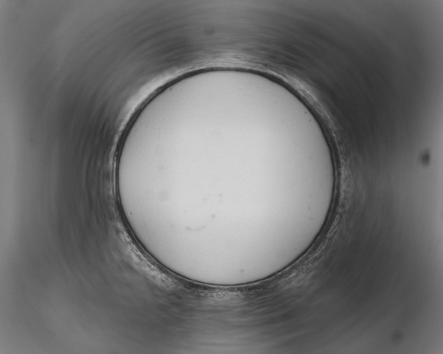 X0000115491238200912041008