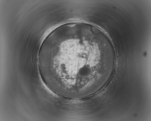 X0000115491239200912041008