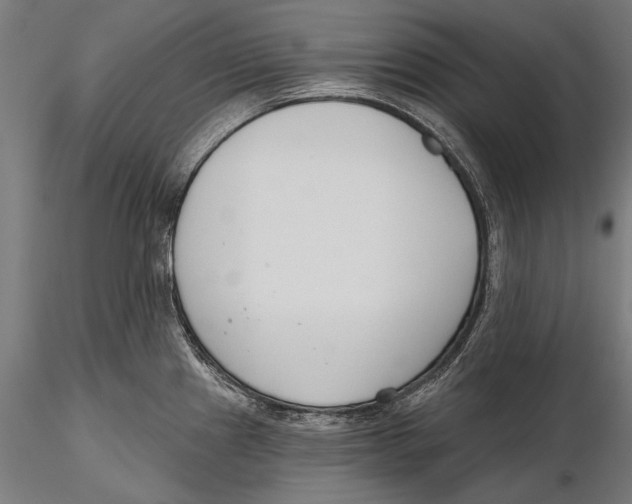 X0000115491241200912041008