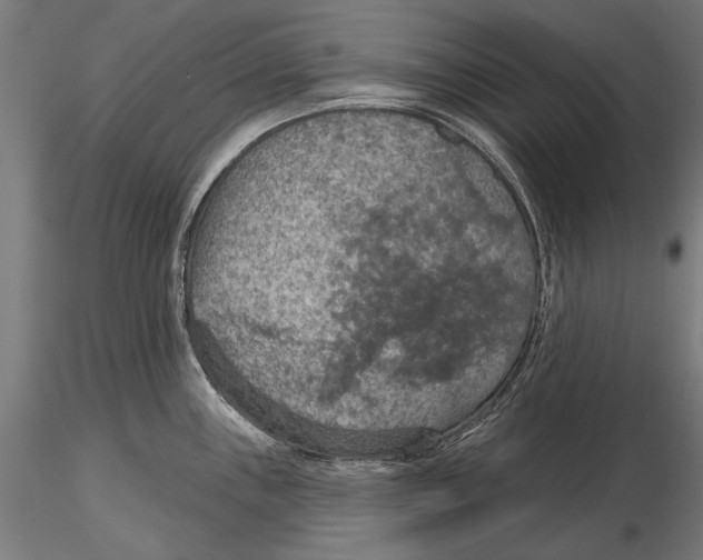 X0000115491243200912041008