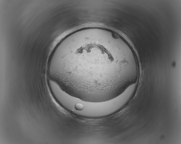 X0000115491245200912041008