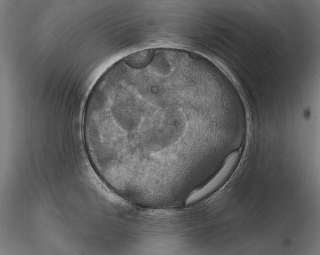 X0000115491246200912041008