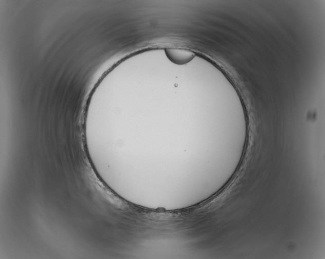 X0000115491248200912041008