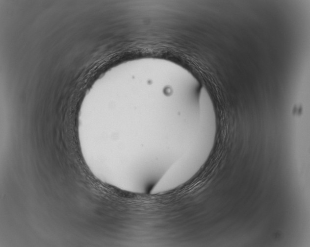 X0000115491249200912041008