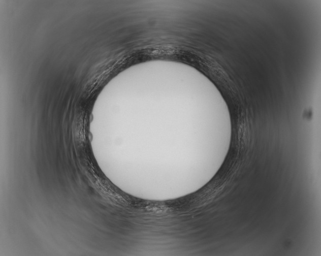 X0000115491250200912041008