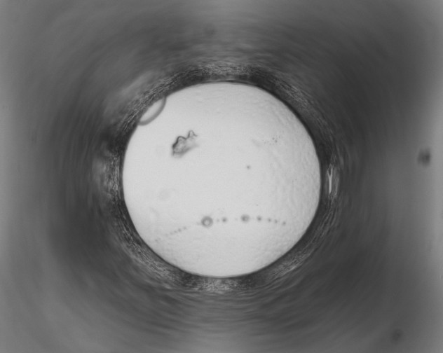 X0000115491251200912041008