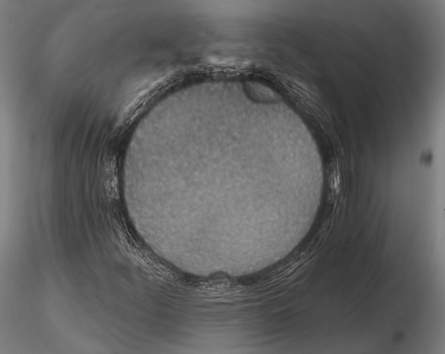 X0000115491252200912041008