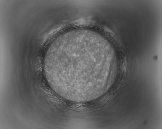 X0000115491253200912041008