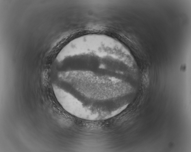 X0000115491254200912041008