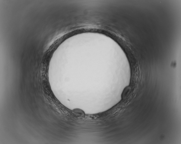 X0000115491255200912041008