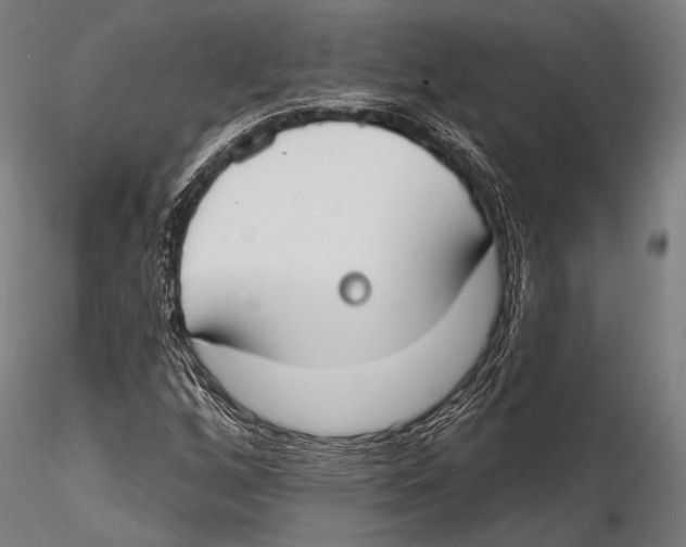 X0000115491256200912041008